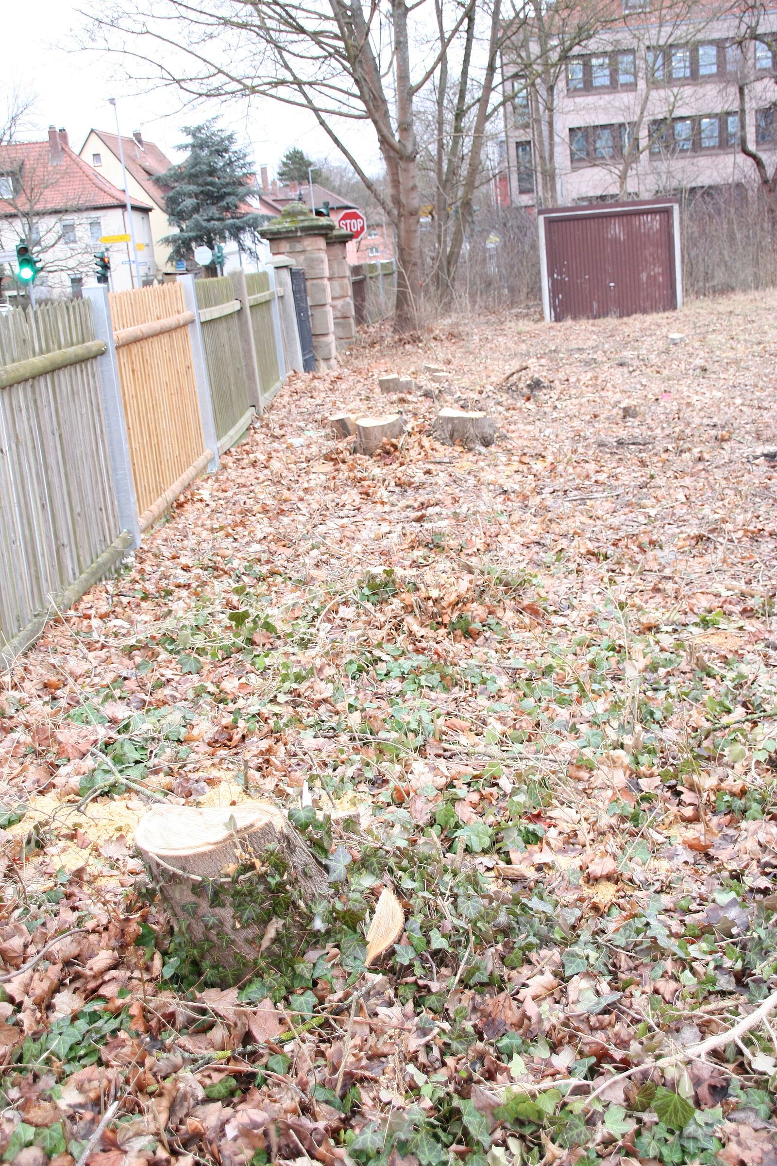 Gefällte Bäume an der Penzendorfer Straße